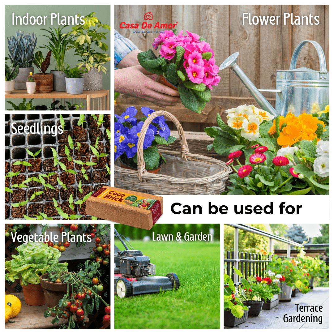 Organic Coconut Coir for Plants